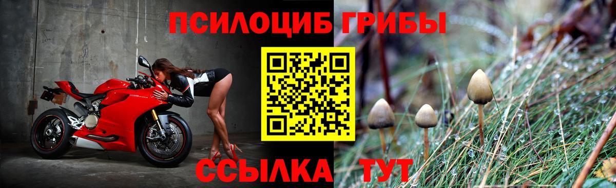Псилоцибиновые грибы MAGIC MUSHROOMS  Псилоцибиновые грибы GOLDEN TEACHER  Вход с VPN  Березники 